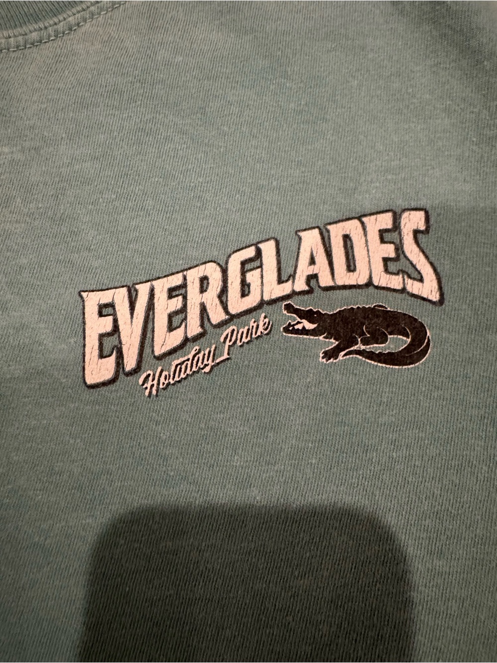 Comfort Colors Light Blue Everglades Short Sleeve Tee - Picture 2 of 4